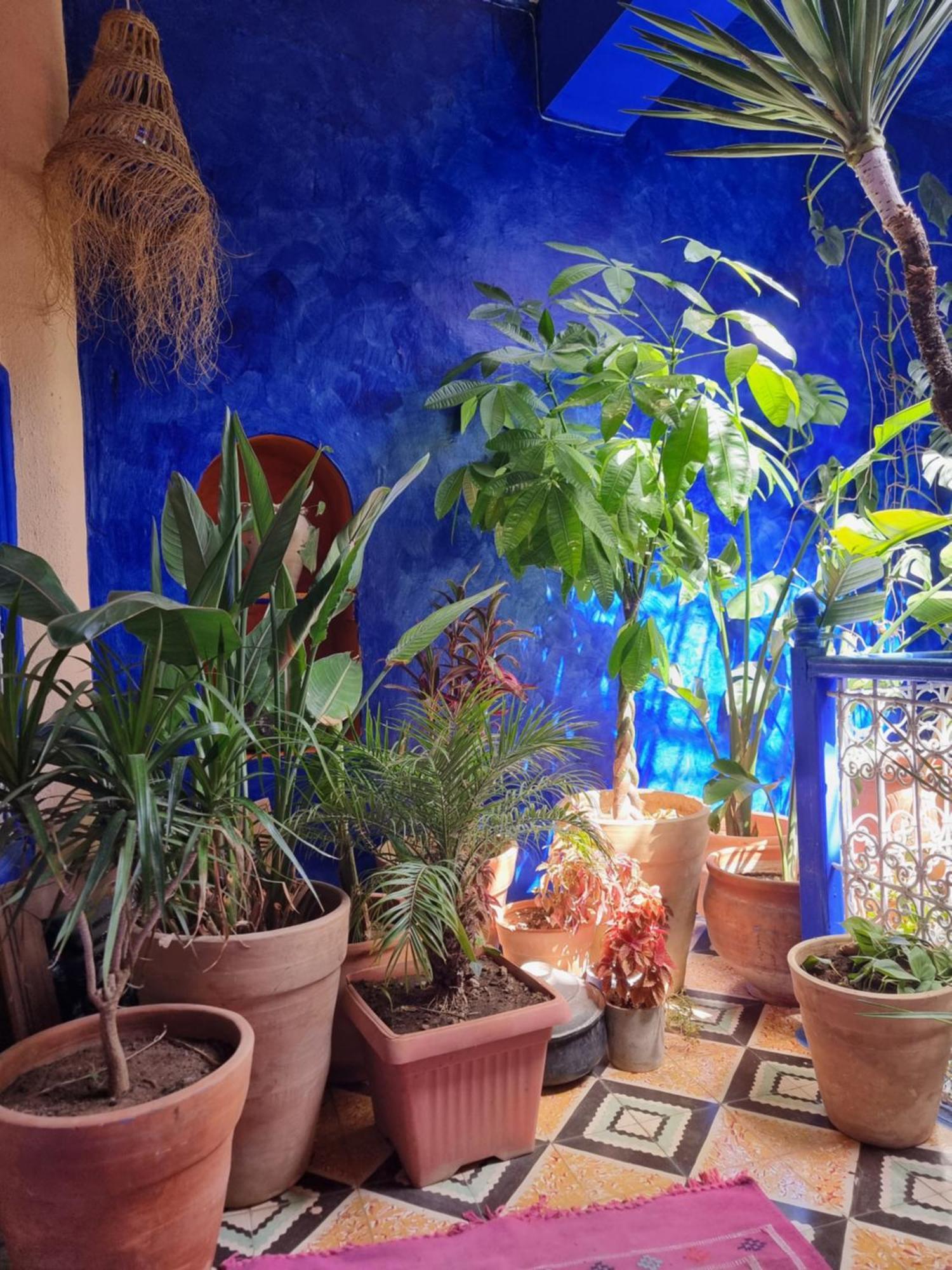 Hotel Casa Amina Chefchaouen Esterno foto